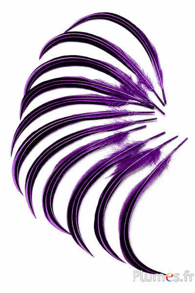 Anatra Mandarin - 15-20 cm - viola